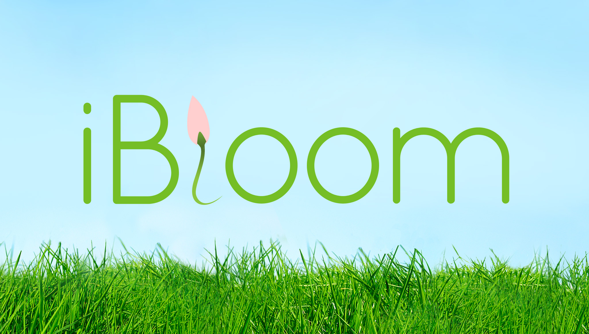 NBC Universal's iBloom