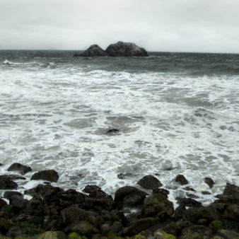 Northern California Landscapes